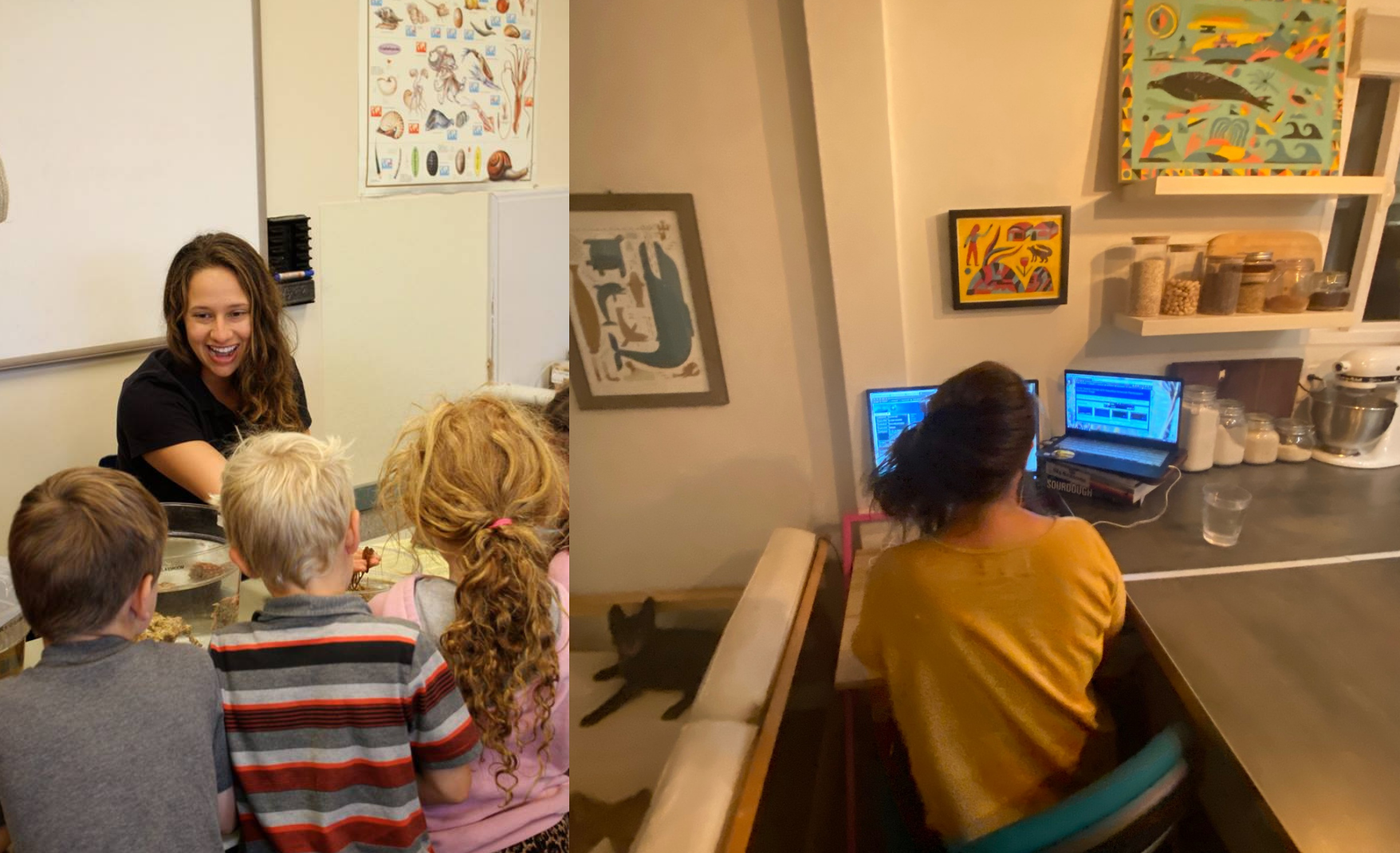 A side-by-side comparison between hands-on marine science education (pre-covid), and what at-home virtual STEM education looks like.